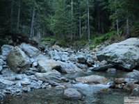 2025-07-27 M. Pelago e Lacs Bessons 015